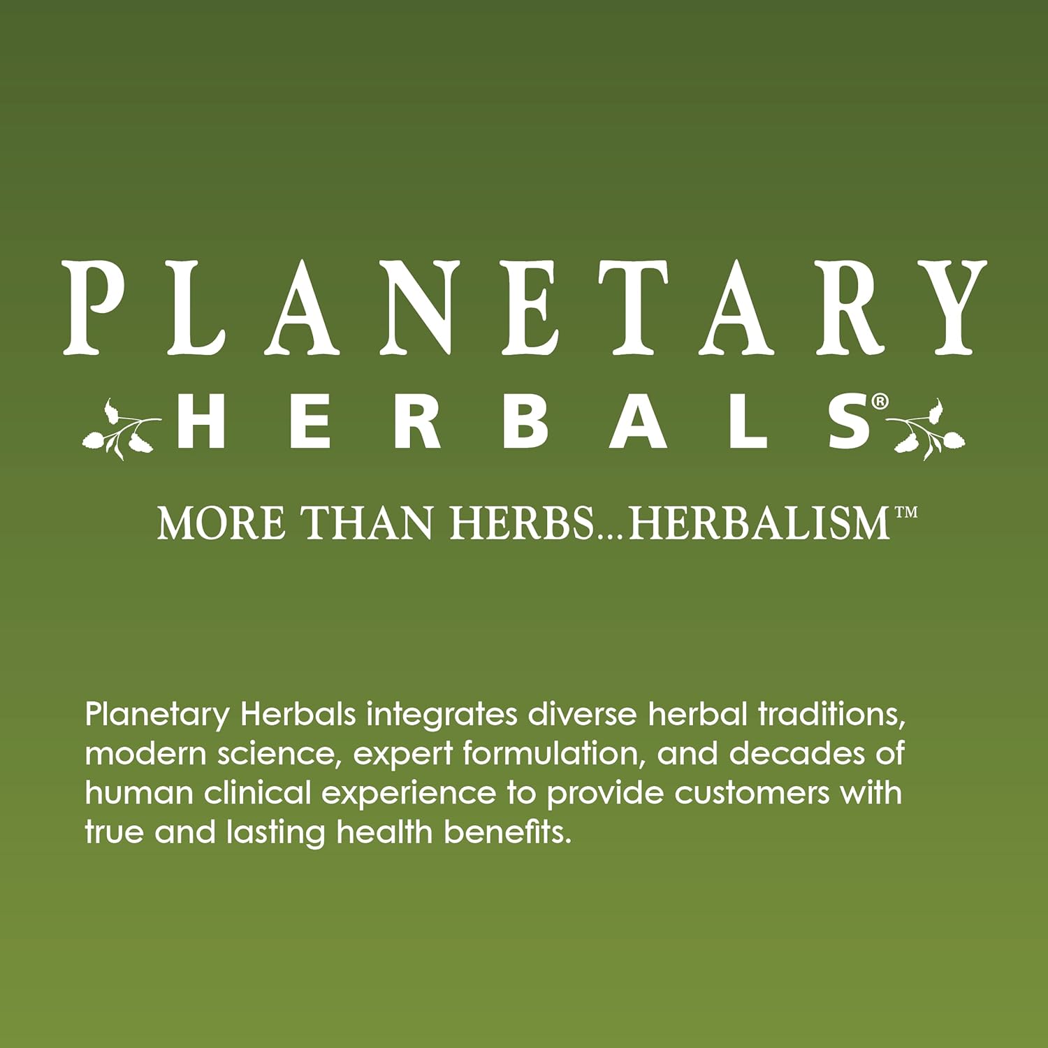 Planetary Herbals Slippery Elm Strawberry Lozenges, Herbal Throat Support, 100 Lozenge