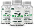 Wild Sea Moss Capsules - 100% Organic Irish Sea Moss with Organic Chlorella, Bladderwrack and Vitamin D for Energy, Lung Health and Thyroid Support for Women and Men - 3 Bottles
