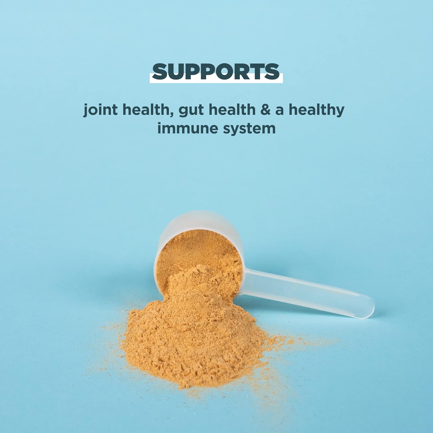 Ancient Nutrition Grass Fed, Cage Free, Bone Broth Protein Powder, 20g Protein, Hydrolyzed Collagen Peptides, Keto & Paleo Friendly, Supports Joint & Gut Health, Turmeric, 20 Servings
