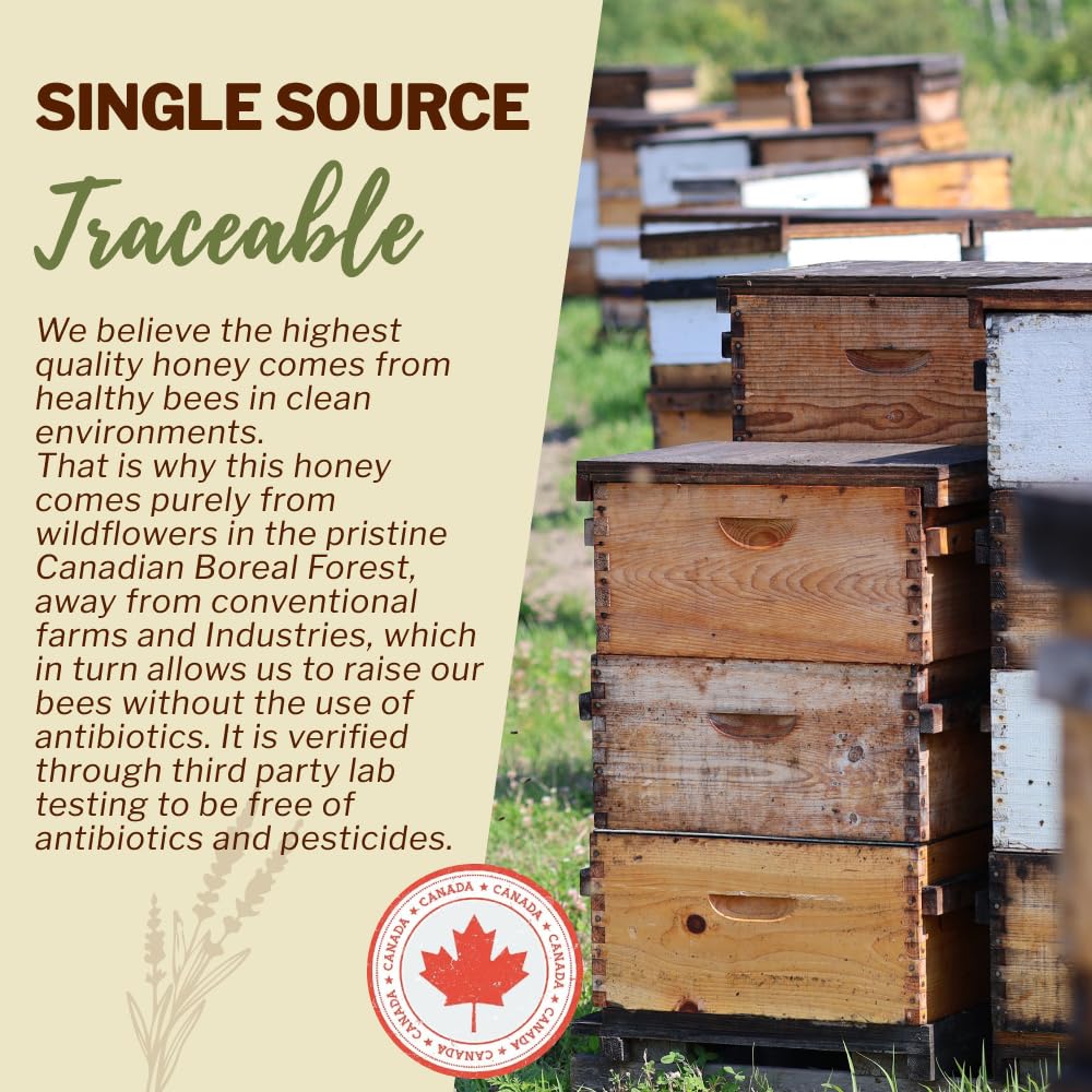 Oneroot 100% Canadian Wildflower Honey - 6.6 lbs, Unheated & Creamed - Nutrient-Rich, Natural Sweetener with Enzymes - Thick & Pure Raw Unfiltered Honey