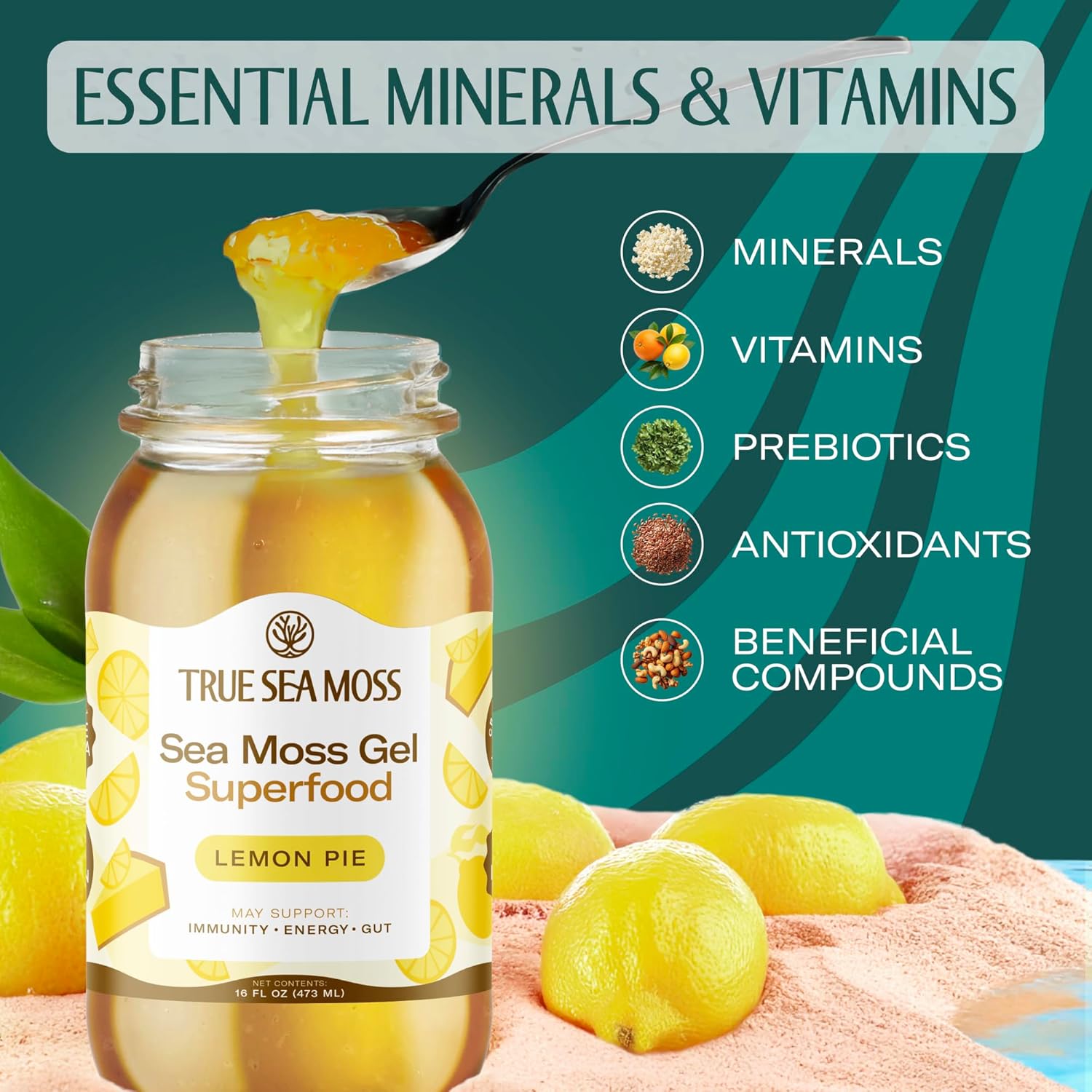 TrueSeaMoss Sea Moss Gel – Made in USA – Wildcrafted Seamoss, Fruits & Jarred Vegetables – Lemon Pie, Pack of 1 (Labels may Vary)