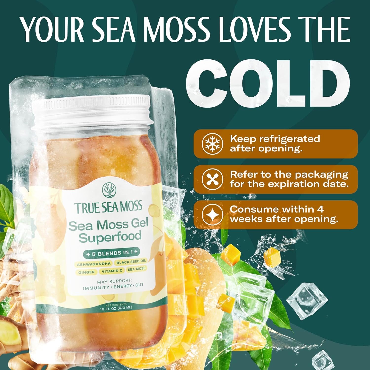 TrueSeaMoss Sea Moss Gel – Made in USA – 5-in-1 Formula – Wildcrafted Seamoss, Ashwagandha & Sea Vegetables – Ashwagandha, Pack of 1 (Labels May Vary)