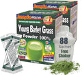Yamamoto Kanpoh YAMAKAN Young Barley Grass Powder, Pure Green Juice Rich in Minerals, Vitamins & Plant-Based Protein for Women & Men, Barley Grass Juice Powder, from Japan, Non GMO 88 Sachets