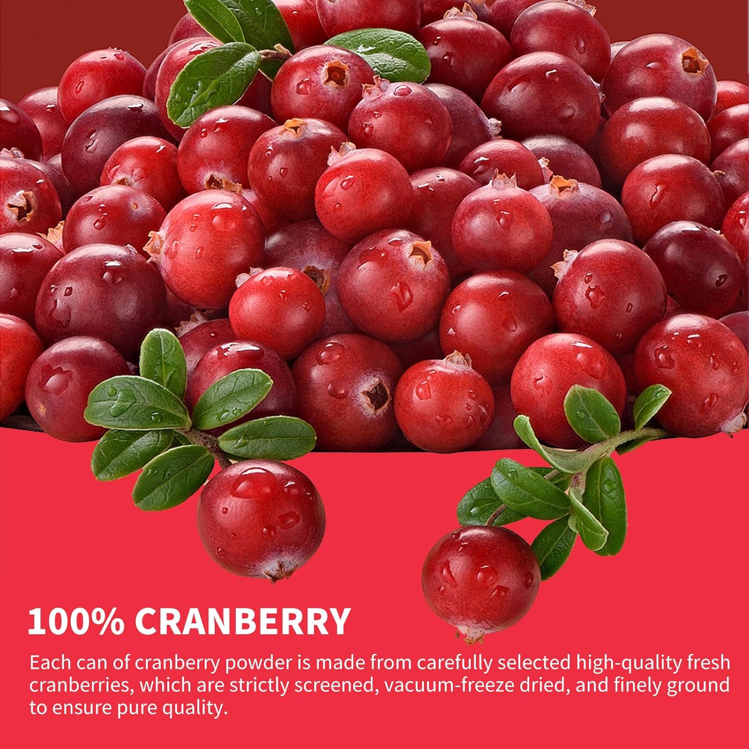 Cranberry Powder, 6.34OZ/180G Freeze Dried Cranberries Powder, Fruit Powder, No Sugar, No Additives, for Baking, Smoothies, Juices, Cocktails, Tea, Yogurt, Oatmeal