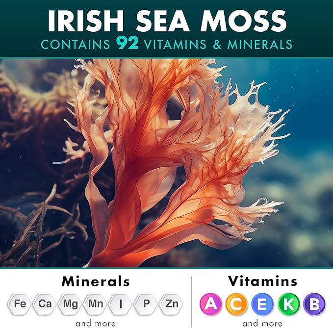 Secret Element Irish Sea Moss Black Seed Oil Ashwagandha Ginger, 20,000mg Capsules, Seamoss Black Seed Oil Ashwagandha Burdock Root, All in One Supplement, 120 Capsules