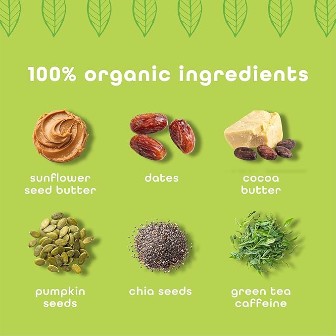 Feel Vegan Protein Bars, Energize, 65mg Caffeine, 15g Plant Protein, Organic Snack, Low Sugar, Low Carb, Gluten Free, Dairy, Nut, Grain, Soy Free, Matcha Latte, 10 Pack