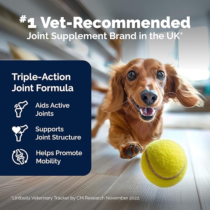 YuMOVE Young & Active Dog Tablets | Hip and Joint Supplement for Dogs with Glucosamine, Hyaluronic Acid, Green Lipped Mussel| Dogs Aged Under 6 | 60 Tablets