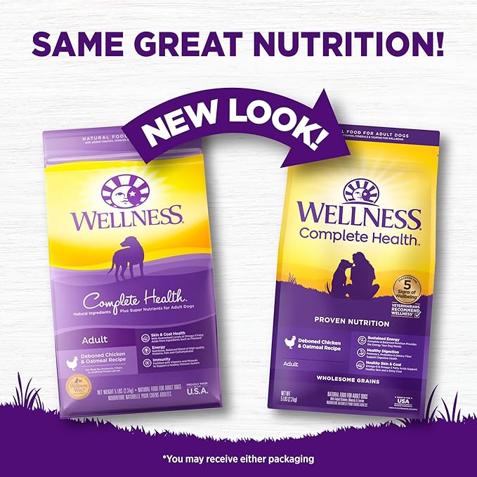 Wellness Complete Health Dry Dog Food, Wholesome Grains, Natural, Chicken & Oatmeal, (5-Pound Bag)