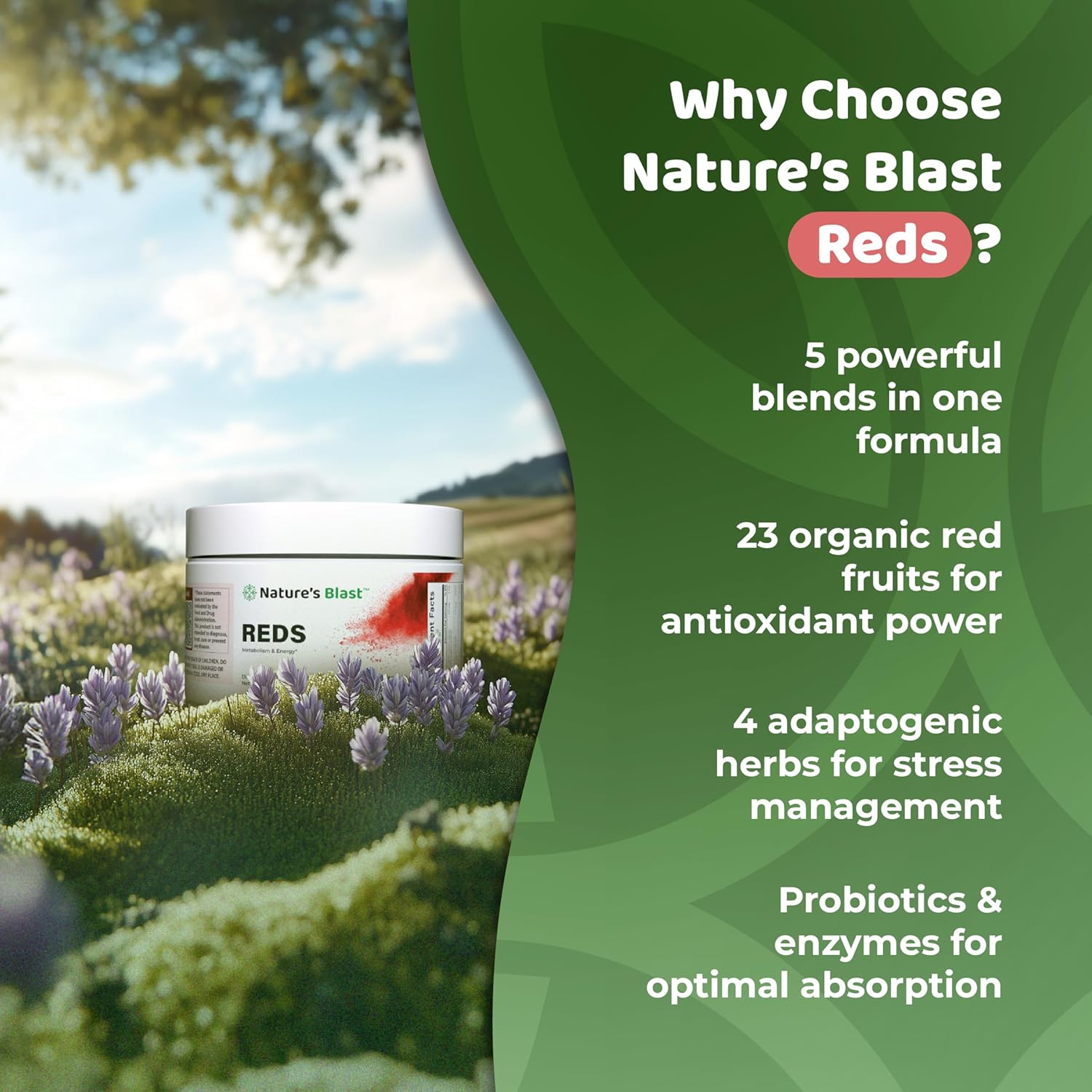 Reds - Metabolism and Energy Superfood Powder with 23 Red Fruits, 4 Adaptogens, Probiotics & Enzymes - Vegan Antioxidant Blend, 1 Bottle