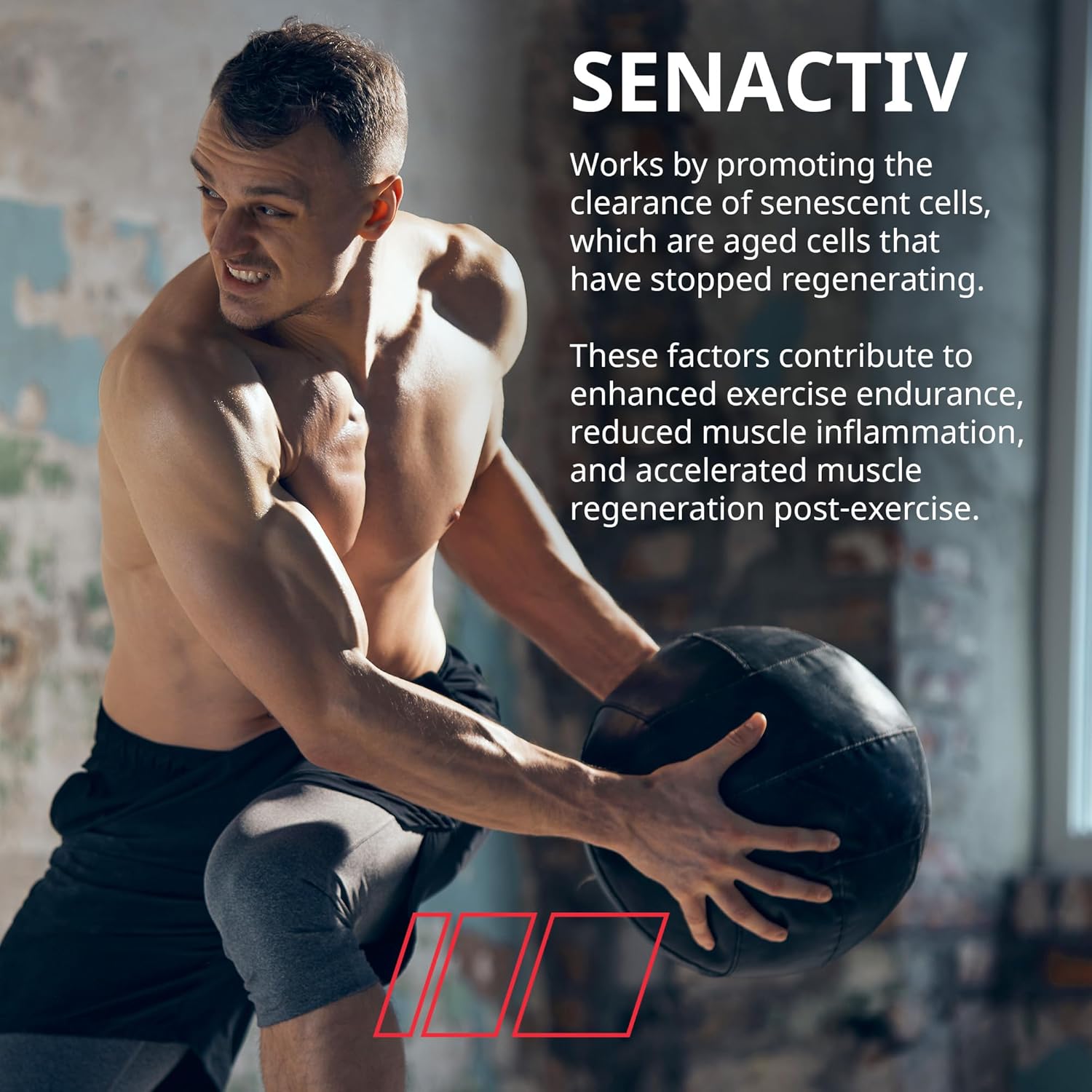 Granite Nutrition Recovery - Premium Intra-Workout Drink with EAAs, Cluster Dextrin, Sensoril & Senactiv for Athletic Performance and Lean Muscle Gains - Fruit Blast (30 Servings)