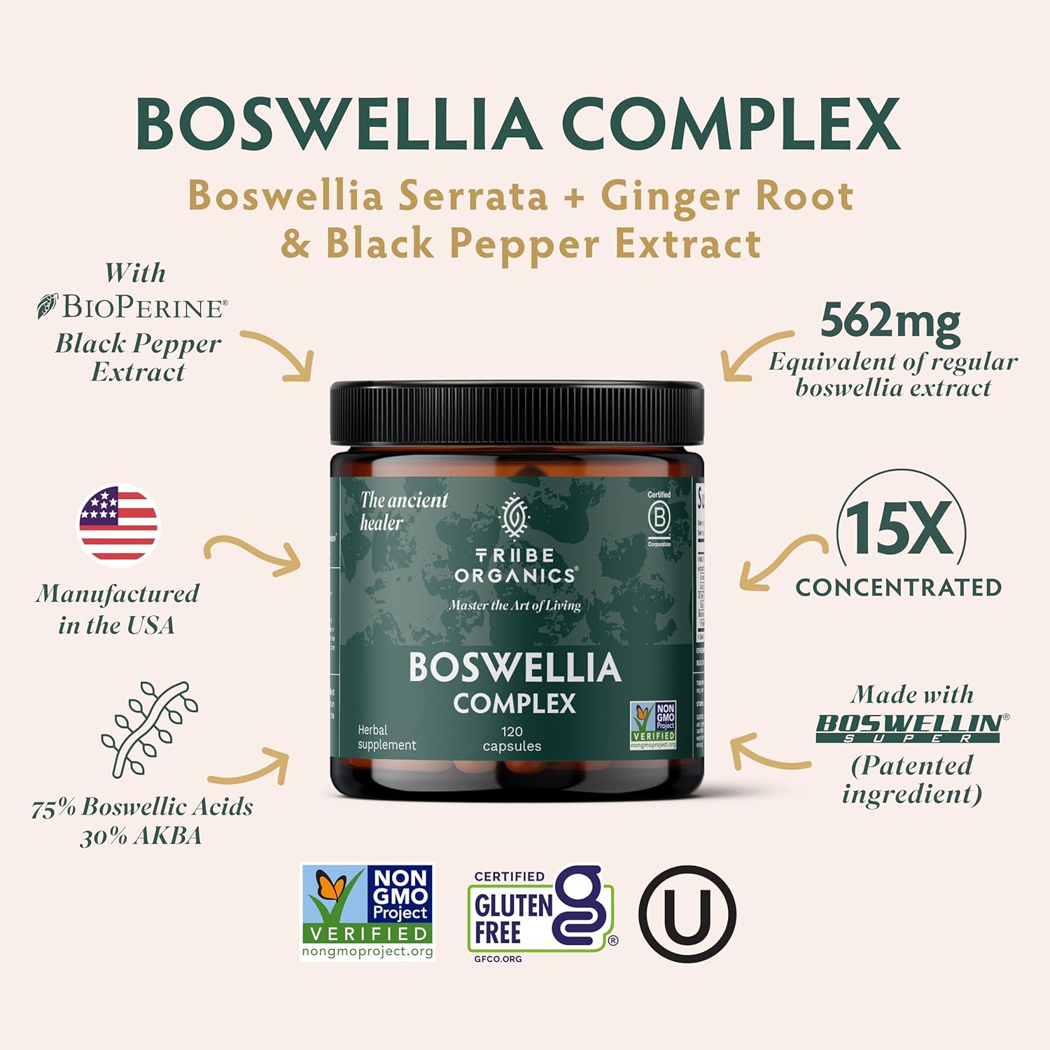 TRIBE ORGANICS Boswellia Serrata Complex Supplement for Joint Support, Muscle Relief - Vegetarian Non-GMO 120 Capsules, High Potency - Boswellin Super with Ginger Extract & Black Pepper - 420mg