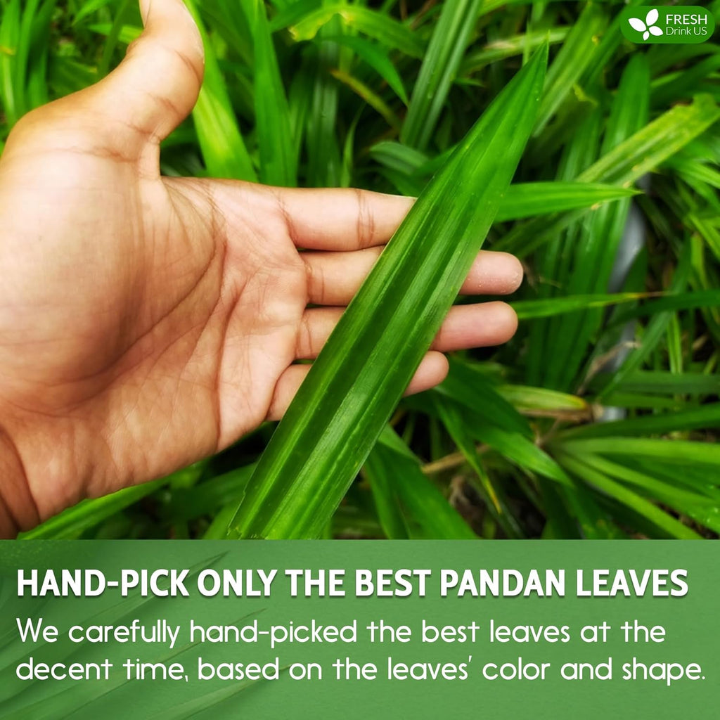 FreshDrinkUS, Premium 55 Pandan Leaf Tea Bags, 100% Natural & Pure from Pandan Leaves. Loose Leaf Pandan Herbal Tea. Made with Natural Material Tea Bags. No Sugar, No Caffeine, No Gluten, Vegan.
