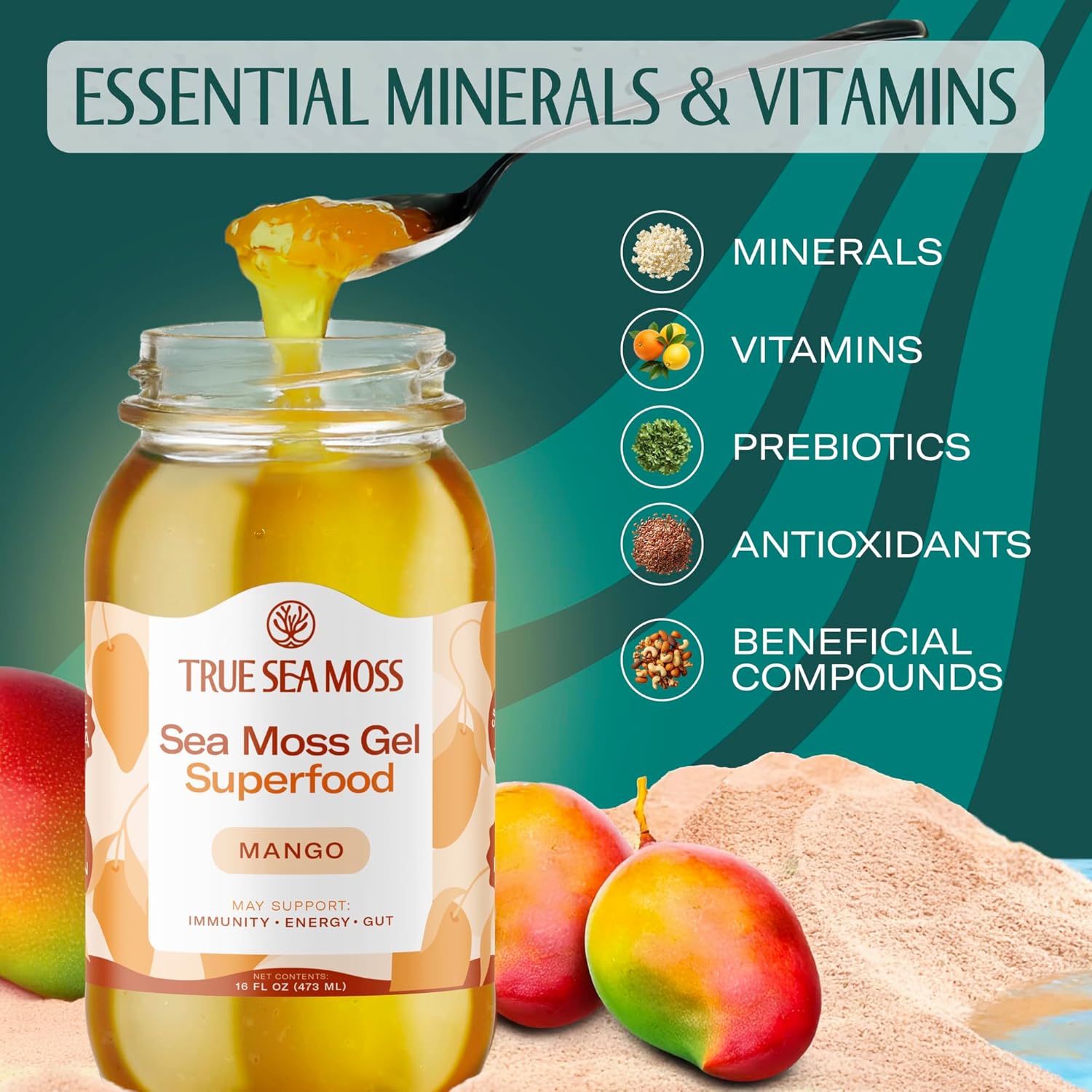 TrueSeaMoss Sea Moss Gel – Made in USA – Wildcrafted Seamoss, Fruits & Jarred Vegetables – Mango, Pack of 3 (Labels may Vary)