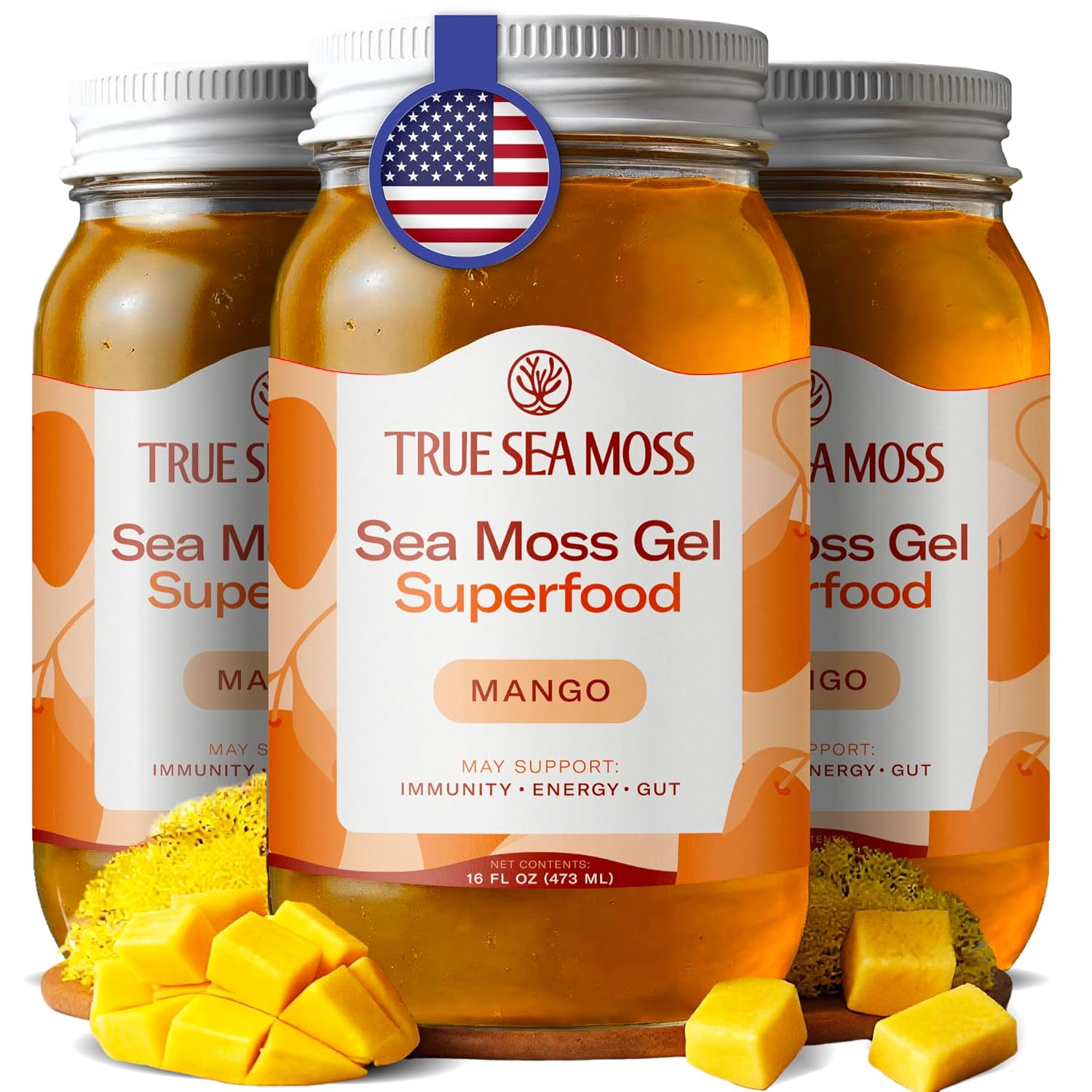 TrueSeaMoss Sea Moss Gel – Made in USA – Wildcrafted Seamoss, Fruits & Jarred Vegetables – Mango, Pack of 3 (Labels may Vary)