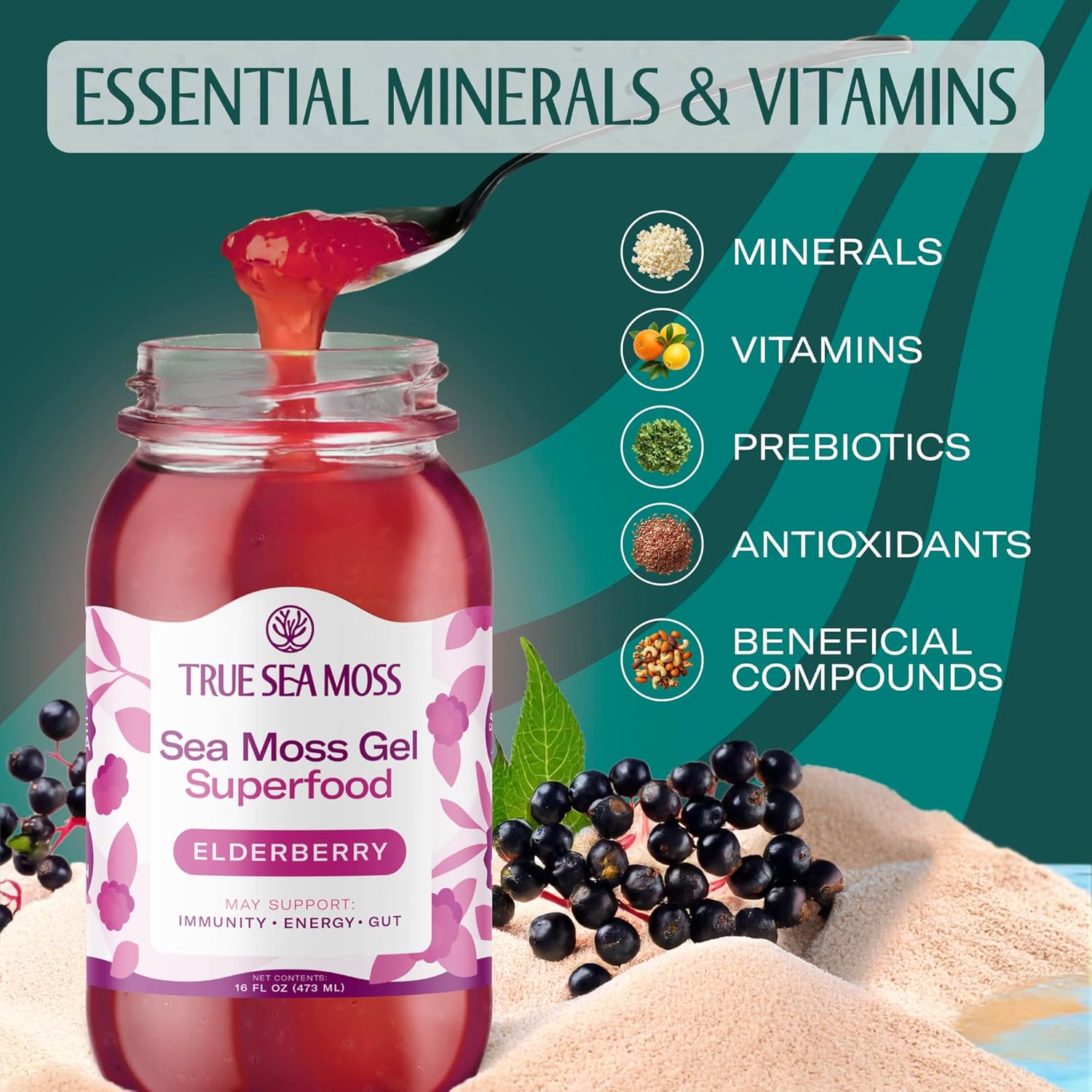 TrueSeaMoss Sea Moss Gel – Made in USA – Wildcrafted Seamoss, Fresh Fruits & Jarred Vegetables – Elderberry, Pack of 1 (Labels May Vary)