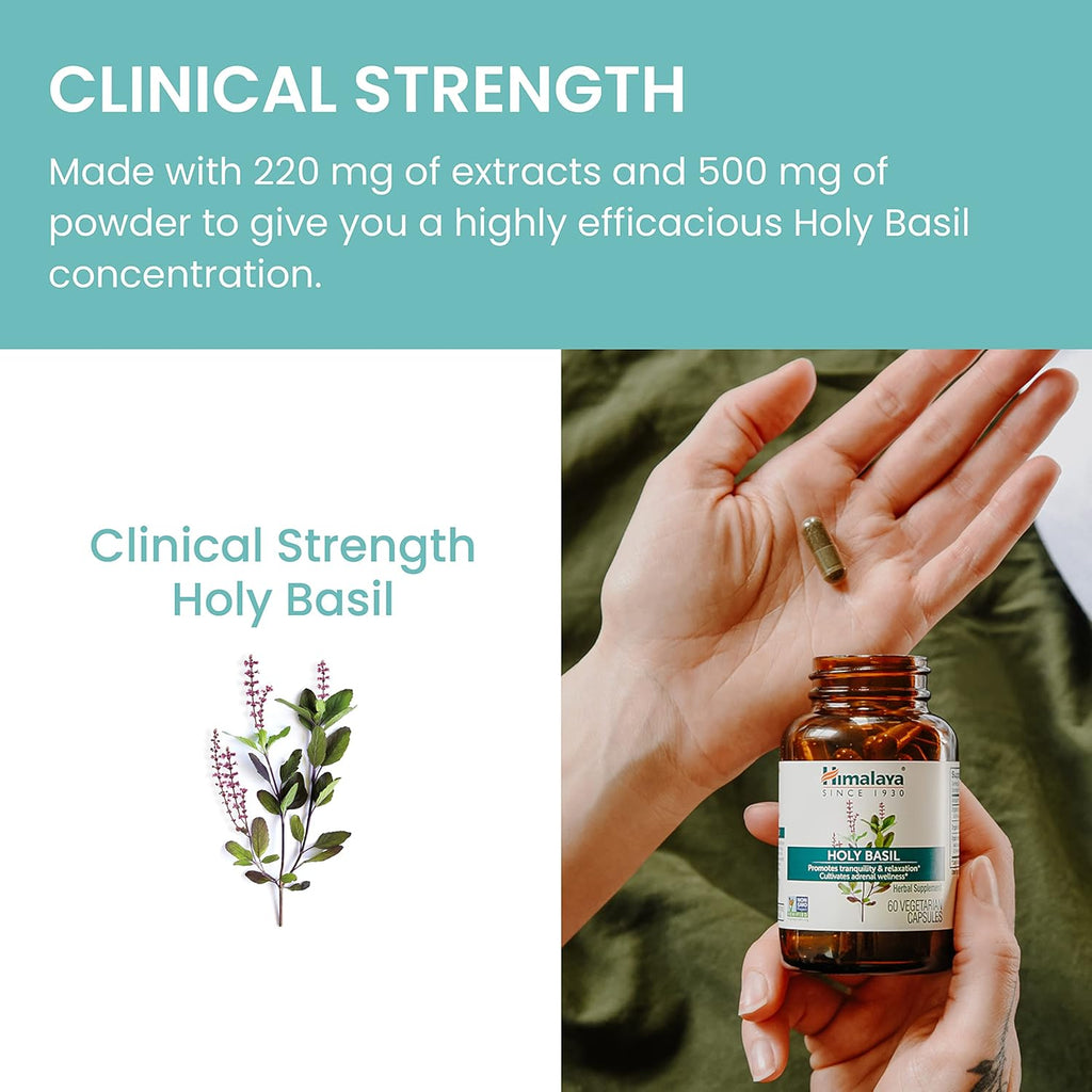Himalaya Holy Basil, 60 Day Supply - Herbal Adrenal Support for Stress Relief, Relaxation, Energy Support and Occasional Sleeplessness - Vegan, Non-GMO, Gluten Free, 720 mg, 60 Capsules, Pack of 2