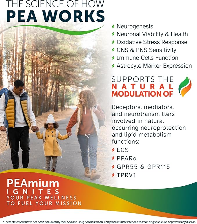 Palmitoylethanolamide 450mg Comfort Mobility Nerves Cognitive & Immune Support - Micronized High Absorption - All Natural Pea - USA Made - No Additives or Excipients - 30 Vegan Capsules Supplement