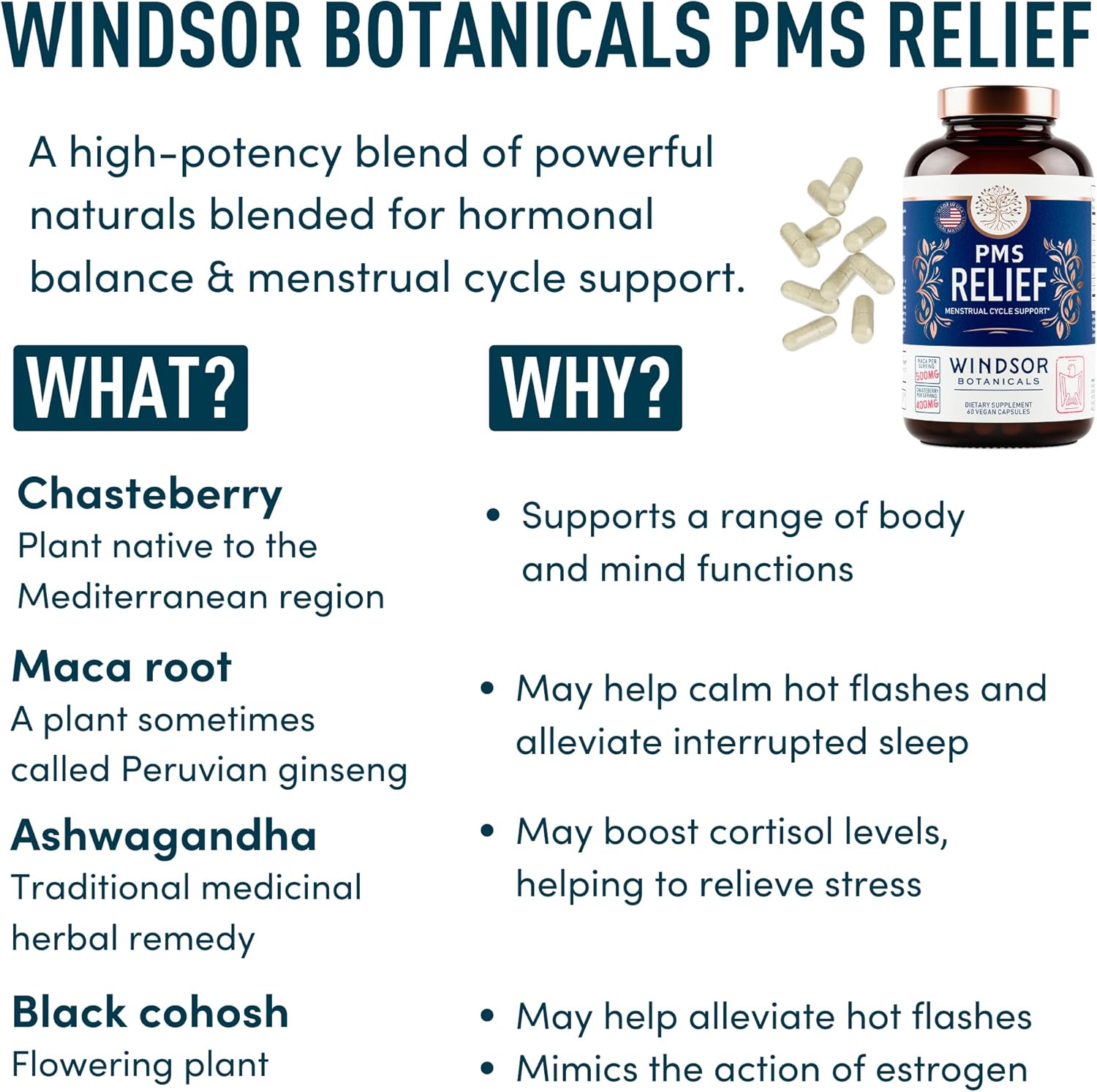 PMS Support Supplement for Women with Chasteberry, Maca Root, Ashwagandha - Period Relief, Bloating Relief for Women, Mood Support, Hormone Balance Herbal Supplements - 30 Day, 60 Vegan Capsules