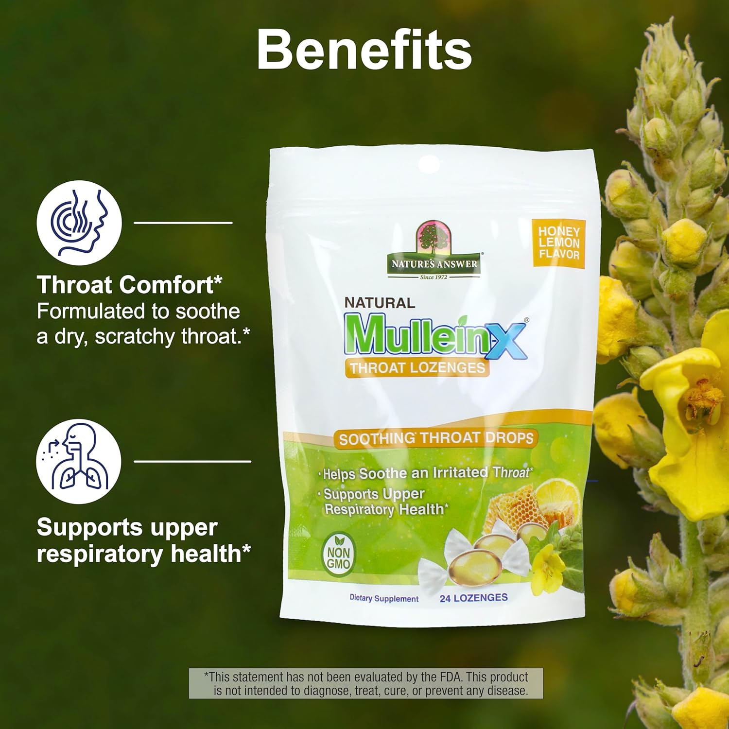 Nature's Answer Mullein‑X Respiratory Soothing Throat Lozenges 24‑Count – Alcohol‑Free Herbal Cough Support with Mullein, Marshmallow, English Ivy & Honey – Non‑GMO, Gluten‑Free