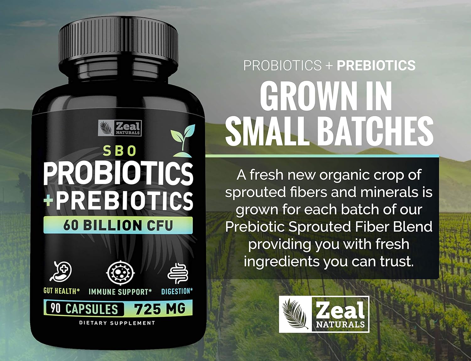 Probiotics and Prebiotics + SBO Probiotics (60 Billion CFU | 90 Capsules) Acidophilus Probiotic w. Saccharomyces Boulardii, Bifidobacterium + Spore Probiotic & Organic Sprouted Prebiotic Fiber Blend