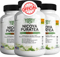 Nicoya PuraTea Max Green Tea Extract & Green Coffee Bean for Metabolism Support, Natural Energy Boost, Antioxidant-Rich Supplement – 180 Capsules