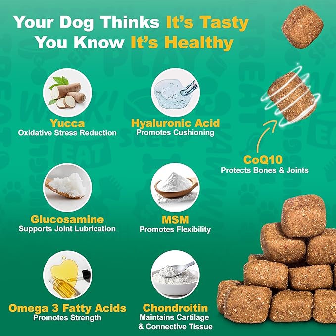 Doggie Dailies, Hip and Joint Supplement for Dogs, Glucosamine Chondroitin, Premium Hip and Joint Chews for Dogs All Breeds & Sizes, Dog Vitamins and Supplements, (Chicken) 120 Chews