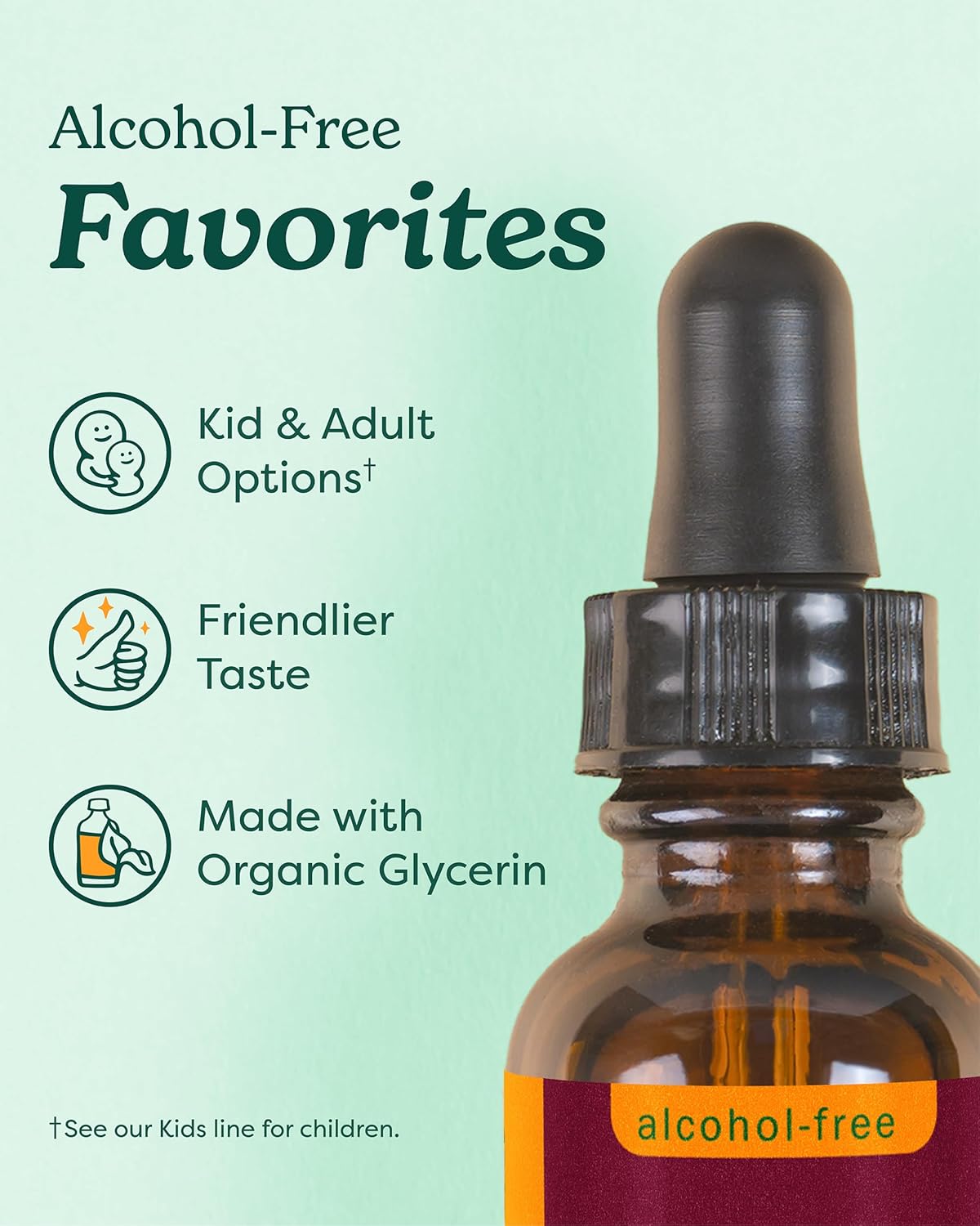 Herb Pharm Kids Certified-Organic Alcohol-Free Immune Fortifier Liquid Herbal Formula, 4 Ounce