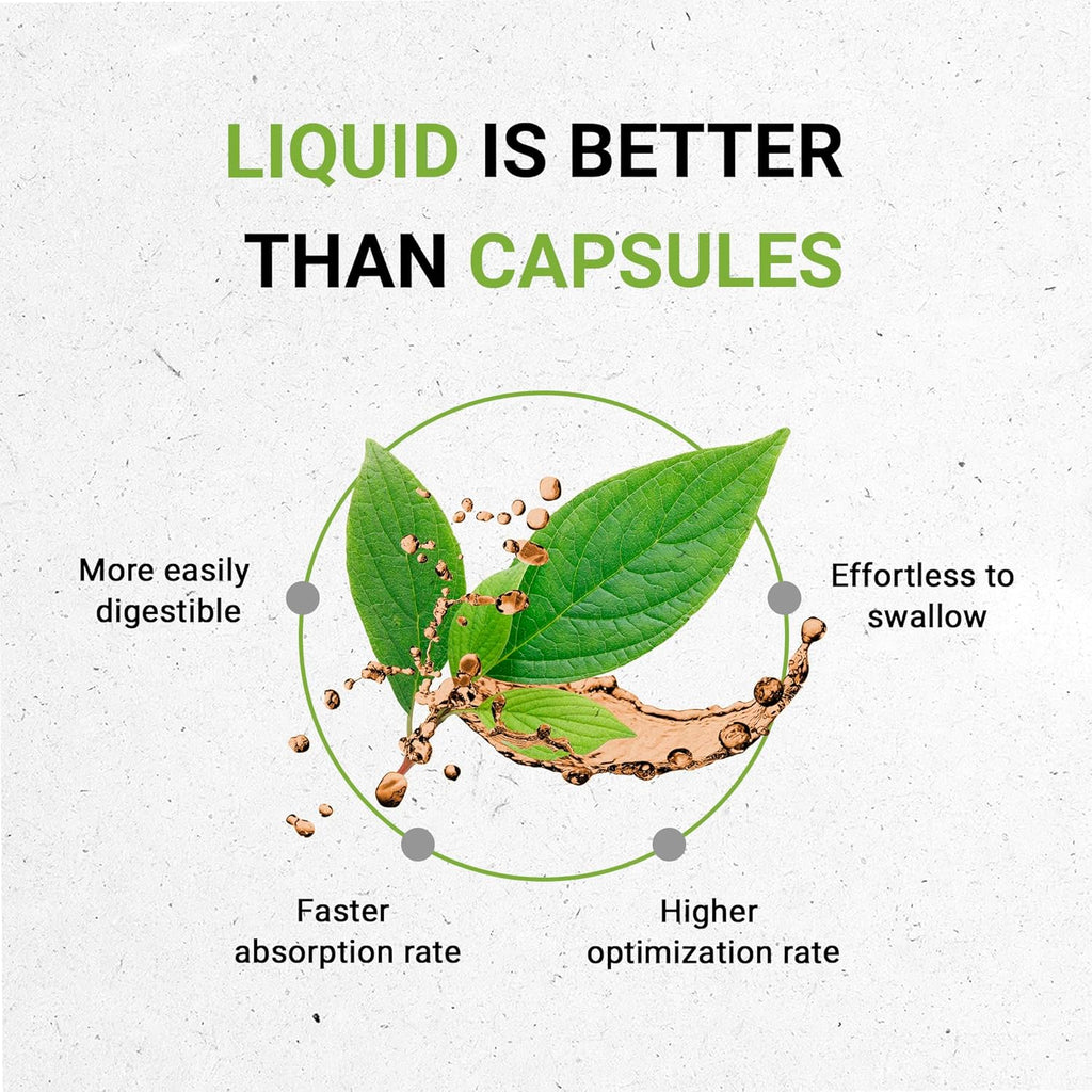 Secrets of the Tribe Artichoke Tincture Alcohol-Free Liquid Extract, Artichoke (Cynara scolymus) Dried Leaf (2 FL OZ)