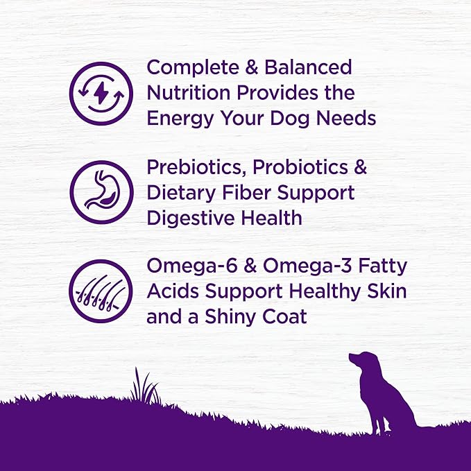 Wellness Complete Health Dry Dog Food, Wholesome Grains, Natural, Whitefish & Sweet Potato, (5-Pound Bag)
