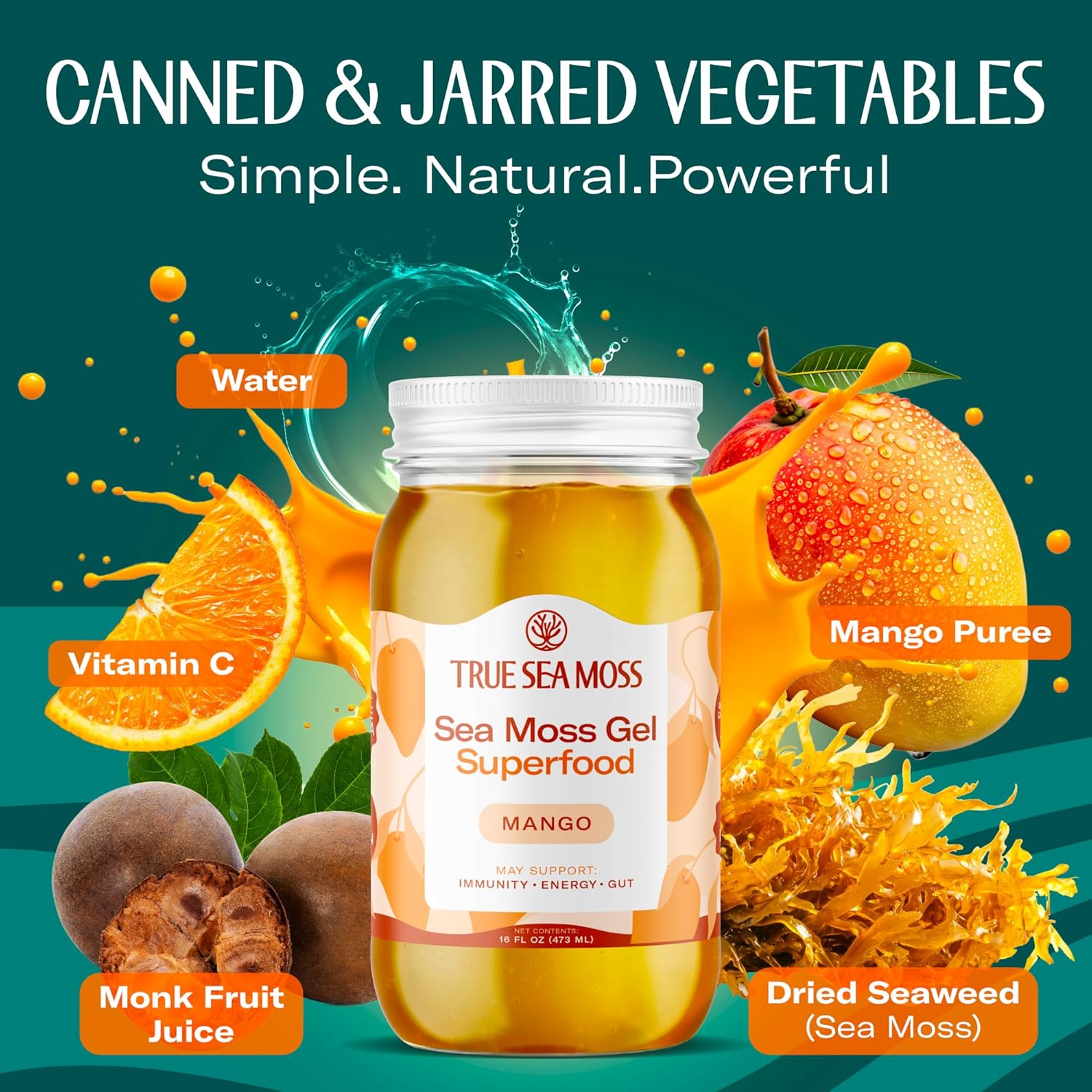 TrueSeaMoss Sea Moss Gel – Made in USA – Wildcrafted Seamoss, Fruits & Jarred Vegetables – Mango, Pack of 3 (Labels may Vary)