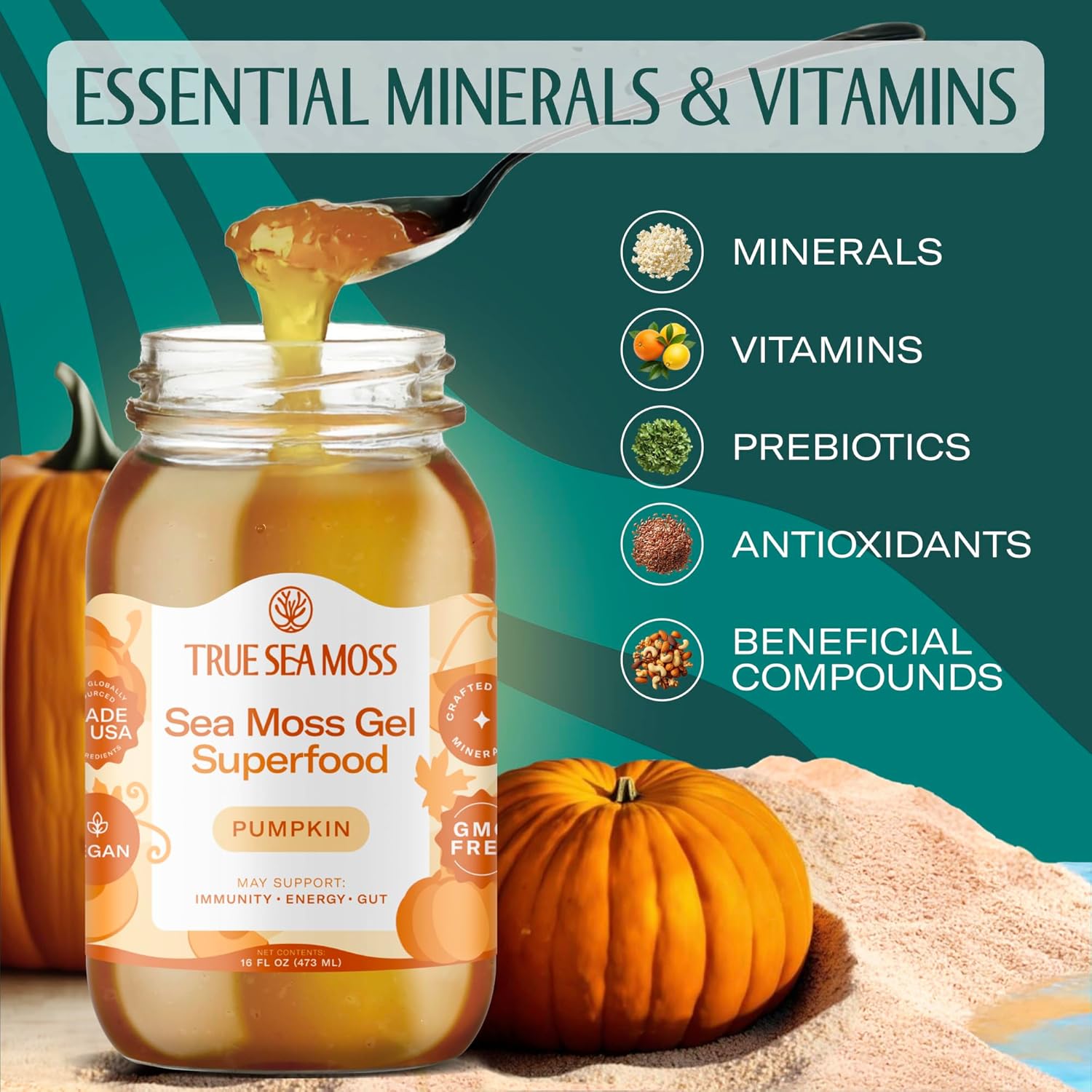 TrueSeaMoss Sea Moss Gel – Made in USA – Wildcrafted Seamoss, Fresh Fruits & Sea Vegetables – Pumpkin, Pack of 1 (Labels may Vary)