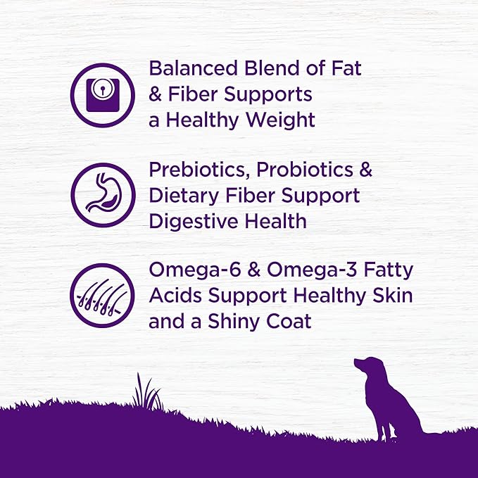 Wellness Complete Health Dry Dog Food, Wholesome Grains, Natural, Healthy Weight Chicken & Peas Recipe, (26-Pound Bag)