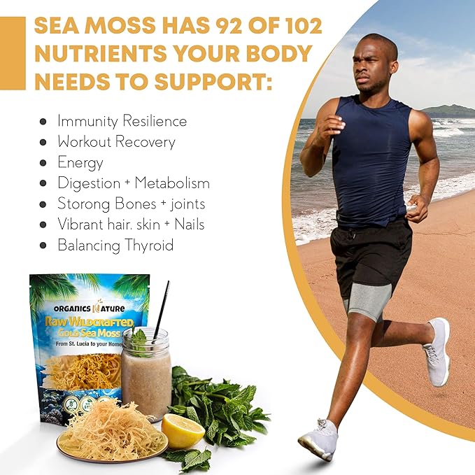 ORGANICS NATURE Dried Sea Moss Wildcrafted & Black Seed Oil Capsules | Raw Gluten-Free, for Lung Detox, Immune System Support Softgels, for Hair, Skin, Heart, Nigella Sativa, Cold Pressed Cumin Seed.