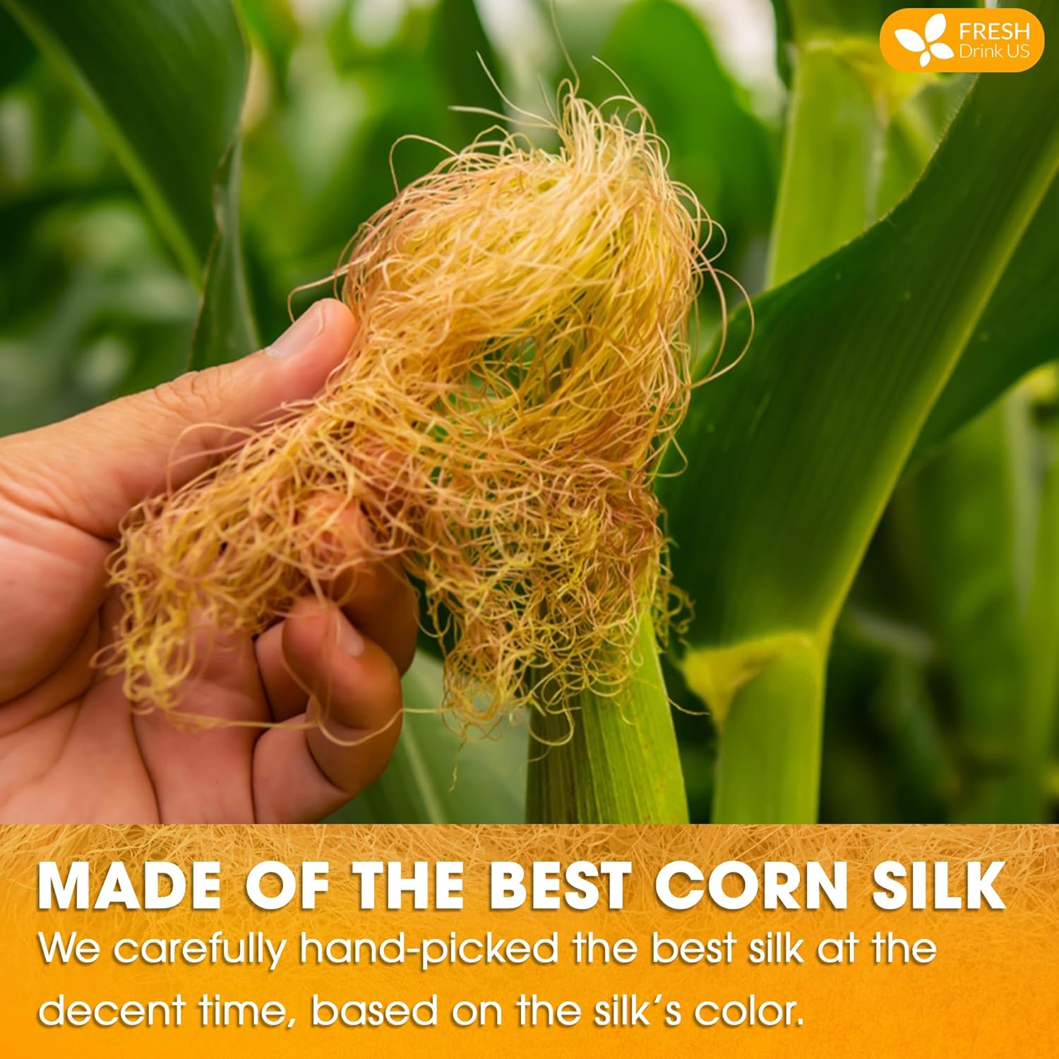 FreshDrinkUS, Premium 135 Tea Bags Corn Silk Tea, 100% Natural & Pure from Corn Silk. Corn Silk Herbal Tea. Clean Ingredients. Made with Natural Material Tea Bags. No Sugar, No Caffeine, Vegan.