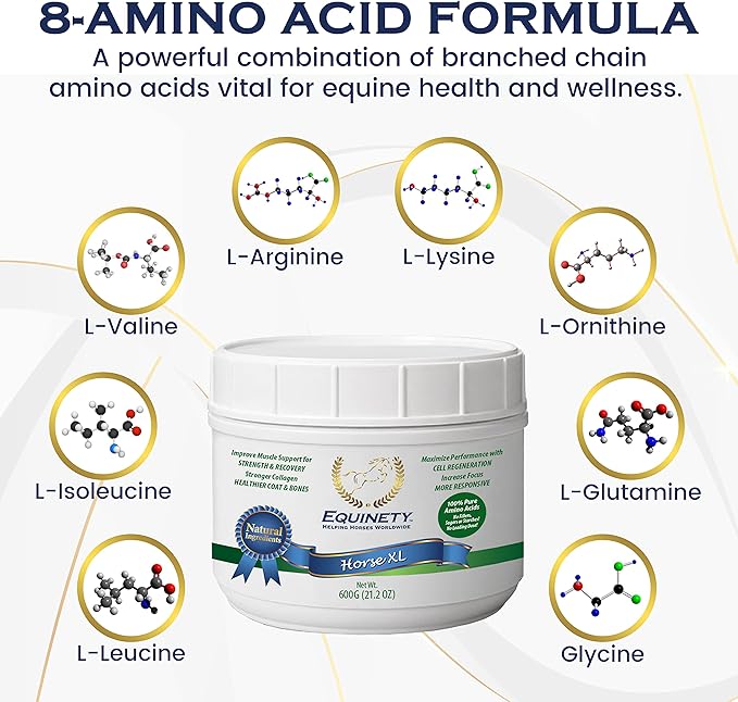100-Day Supply Horse XL Supplement – Amino Acids for Cellular Repair, Coat Defense, Weight Gain, Joint & Hoof Support – No Soy/Sugar – Equine Supplements for Muscle, Immune Support & Overall Health