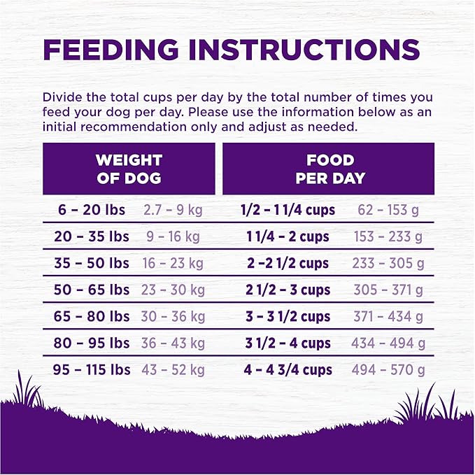 Wellness Complete Health Dry Dog Food, Wholesome Grains, Natural, Chicken & Oatmeal Recipe, (15-Pound Bag)
