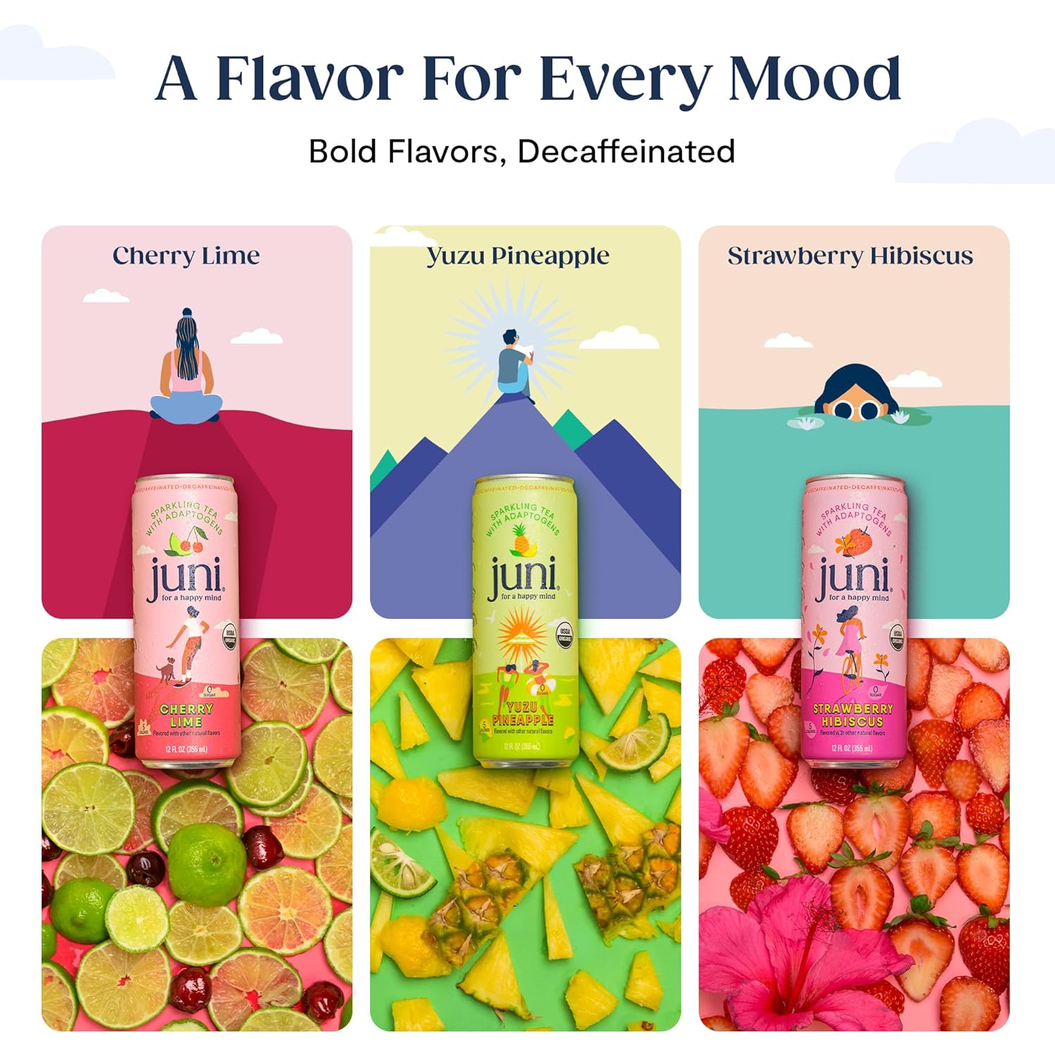 Juni Sparkling Adaptogen Drink with Ashwagandha, Lion’s Mane & Reishi Mushrooms | Green Tea for Focus, Zero Sugar, 5 Calories | Decaffeinated, Non Alcoholic Drinks - Strawberry Hibiscus 12 pack