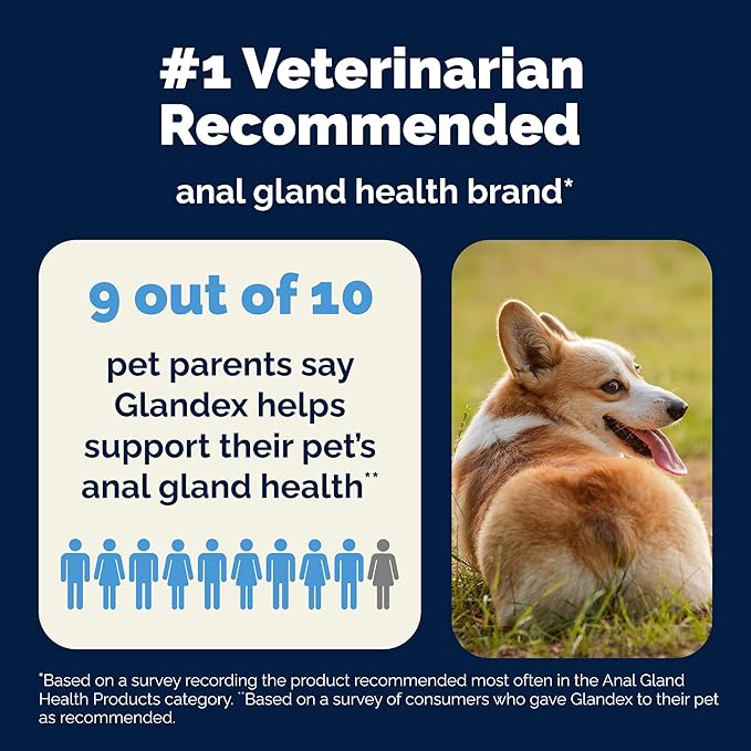 Vetnique Glandex Anal Gland Soft Chew Treats with Pumpkin for Dogs Digestive Enzymes, Probiotics Fiber Supplement for Dogs Boot The Scoot (Bacon Flavor Chews, 30 Count)
