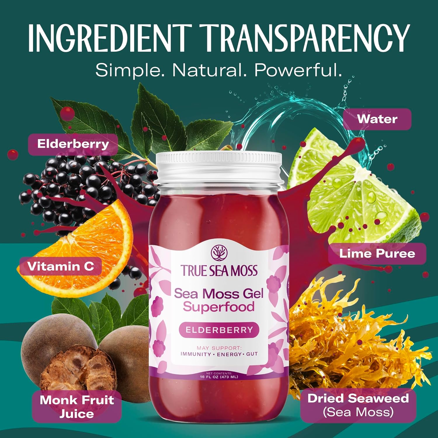 TrueSeaMoss Sea Moss Gel – Made in USA – Wildcrafted Seamoss, Fresh Fruits & Jarred Vegetables – Elderberry, Pack of 1 (Labels May Vary)