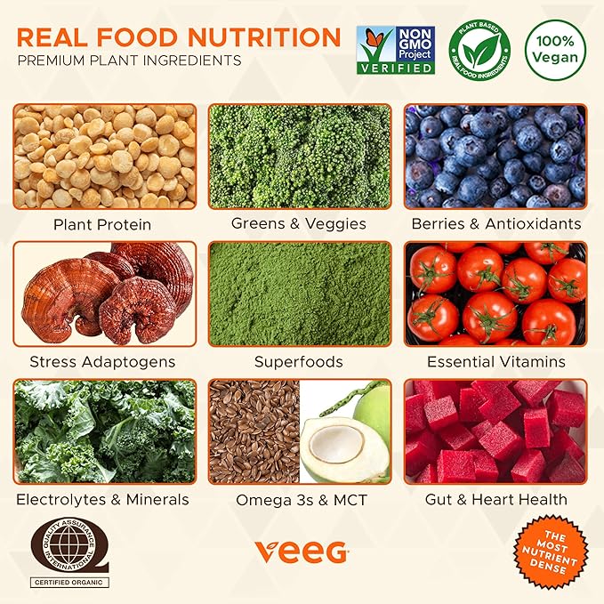 Veeg All in One Protein Smoothie Powder – Vegan Protein Powder & Collagen Boost. Organic Pea Protein, MCT, Probiotics & Multivitamin. One Scoop Daily Energy, Wellness & Balance 15 Servings (Chocolate)