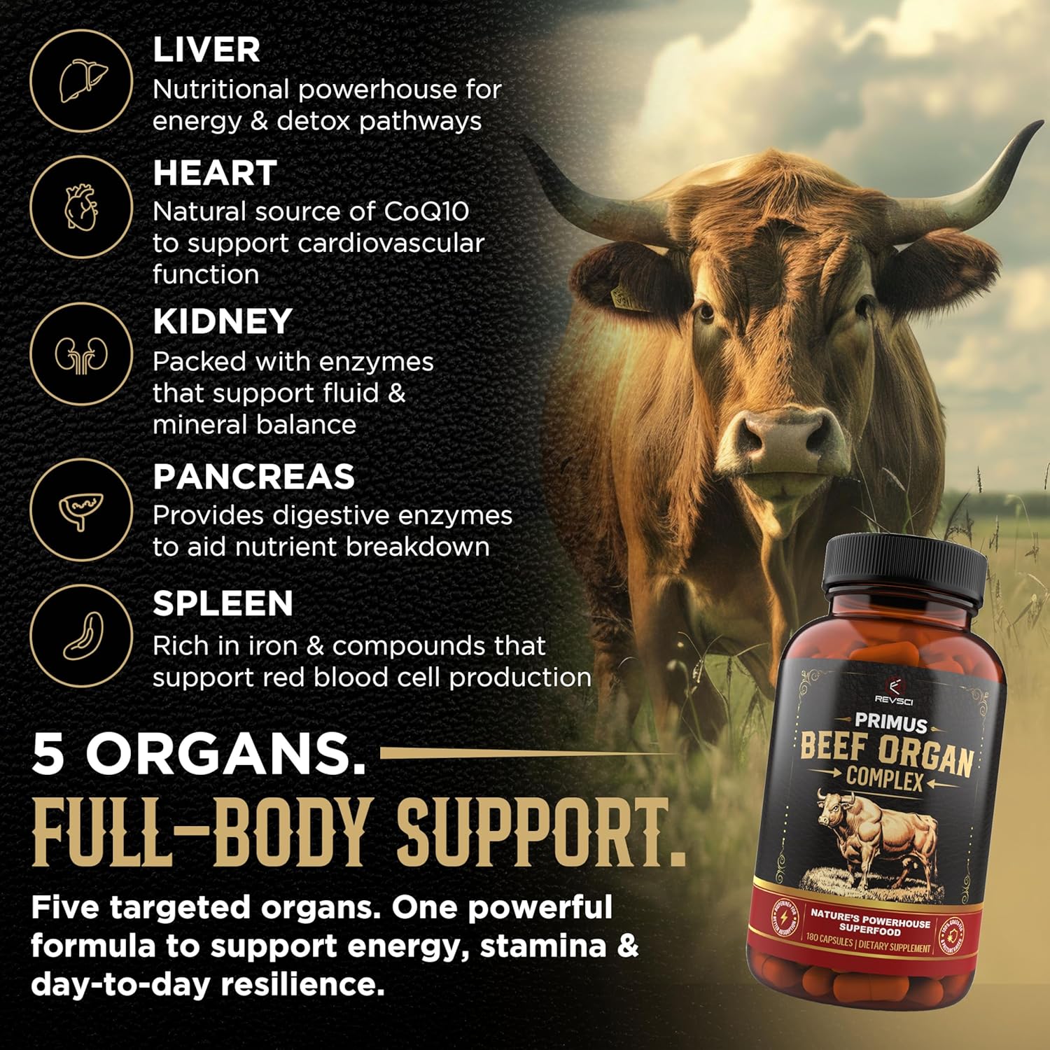 Grass Fed Beef Organ Supplement for Men & Women - PRIMUS Grassfed Beef Liver Capsules with Heart, Ancestral Blend 5 Organ Meat Supplements & BioPerine for Absorption, Vitality, Energy, 180 Pills