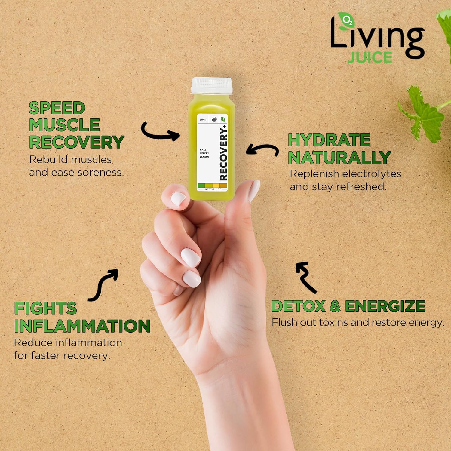 O2 Living Recovery Booster Juice Shots - 2oz, 12 Pack - Organic Cold-Pressed Juice Shots, No Added Sugars or Water, Naturally Sweetened from Fruits, Fresh Pressed, Packed with Nutrients and Vitamins
