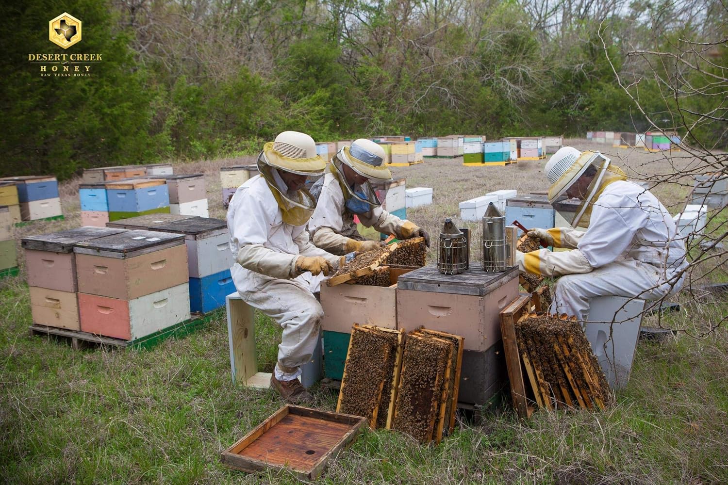 Desert Creek Honey - 100% Raw, Unfiltered, Pure Honey from Texas - Natural Sugar Substitute - Five Gallons of Bulk Unprocessed, Unpasteurized American Honey - Harvested by Our Own Beekeepers