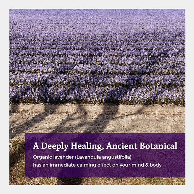 Silk Road Organic Lavender Essential Oil Spray, Lavandula Angustifolia, 100% Pure USDA Certified Aromatherapy for Calming, Relaxation & Skin – 1 oz Spray - Always Pure, Always Organic