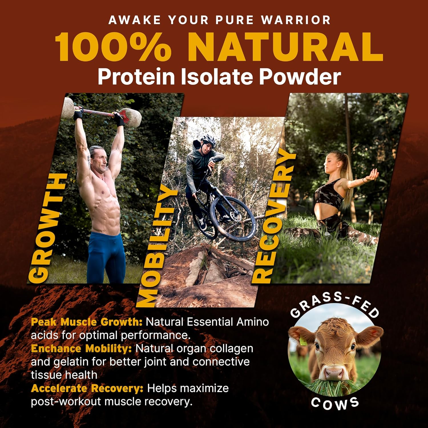 Paleo Pro Beef Protein Powder - Grass Fed Protein Powder Isolate - Pure Animal Based Pastured & Cage-Free | Dairy & Gluten Free, Natural and Clean Proteins for Paleo & Keto - 15 Days Supply (Cacao)