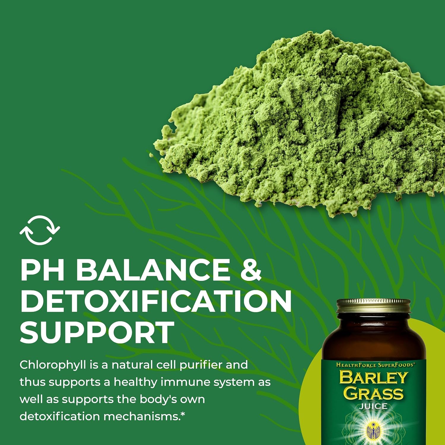 HealthForce SuperFoods Barley Grass Juice – 8 oz Powder