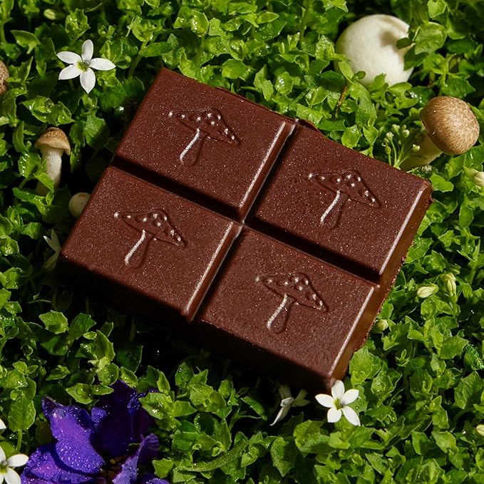 Alice Mushrooms Nightcap | Mushroom Chocolates | Supports Deep Sleep, Calm Mind, and Stress Relief - Reishi & L-Theanine | Regulates Sleep Cycles & Reduces Tension - Magnesium, Zinc